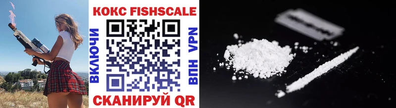 где можно купить OMG сайт COCAIN FishScale Железногорск-Илимский