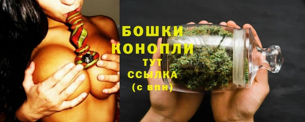 2c-b Гусиноозёрск