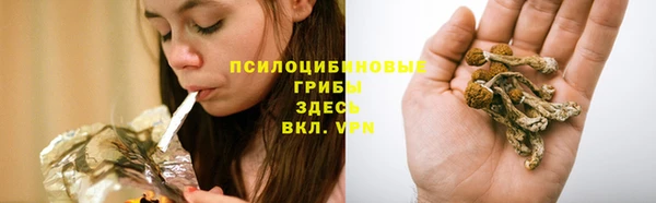 герыч Болхов