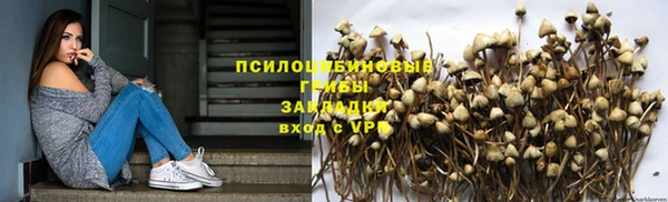 стаф Гусь-Хрустальный